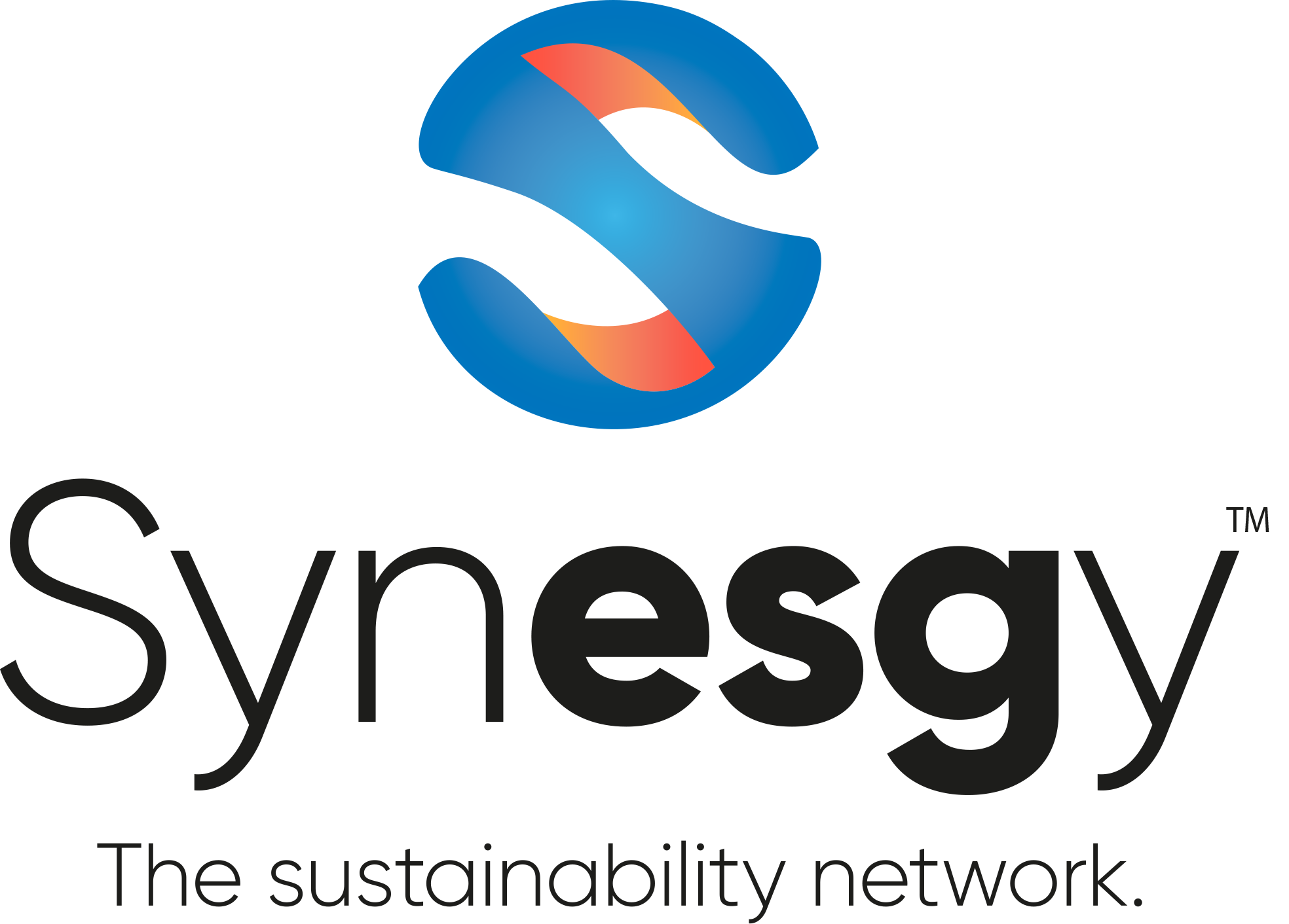 Logo-SynESGy